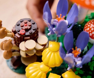 LEGO® Botanicals 11505 - Горски гъби