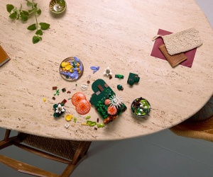 LEGO® Botanicals 11505 - Горски гъби